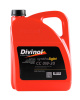 Изображение DIVINOL Syntholight CC 0w-30 API SL, ACEA A5-10/B5-10 - 5 л. /3 