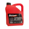 DIVINOL Synthogear 75w-90 API GL-4/5 - 4 л. /3 Изображение DIVINOL Synthogear 75w-90 API GL-4/5 - 4 л. /3